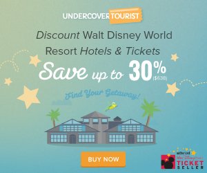 Undercovertourist.com